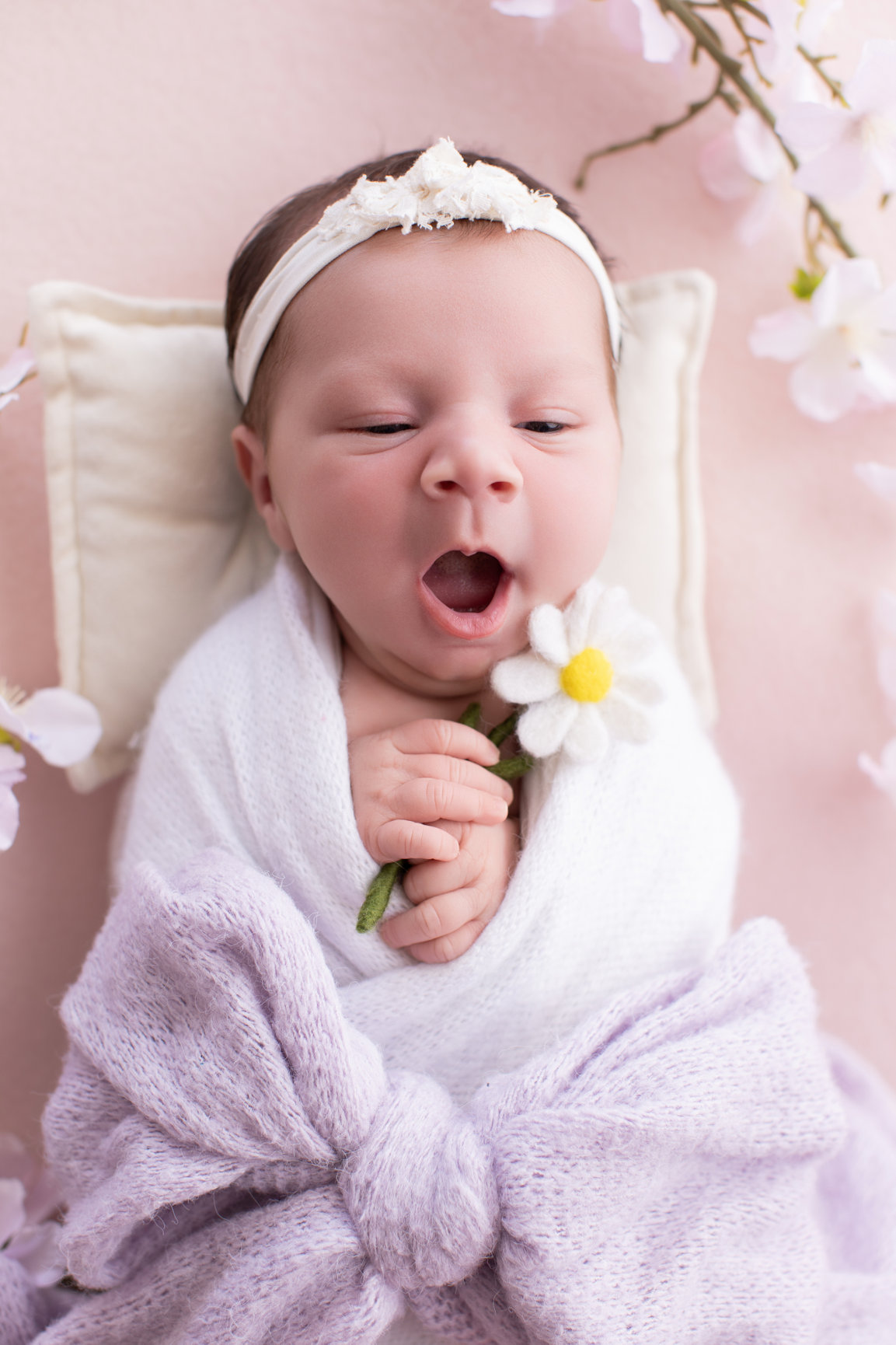 Calgary newborn photography blush pink lilac and cherry blossoms Newborn I session photo 7