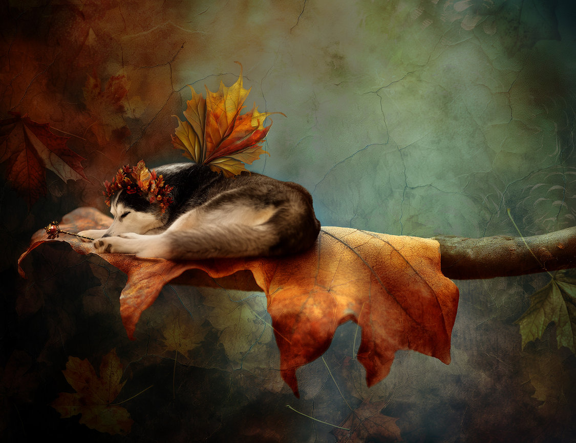 A cat wearing a floral crown sleeps on a large autumn leaf, set against a textured, colorful background.