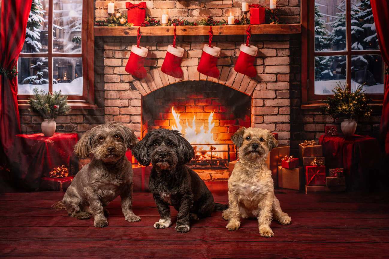 Warm Fireplace Christmas Backdrop