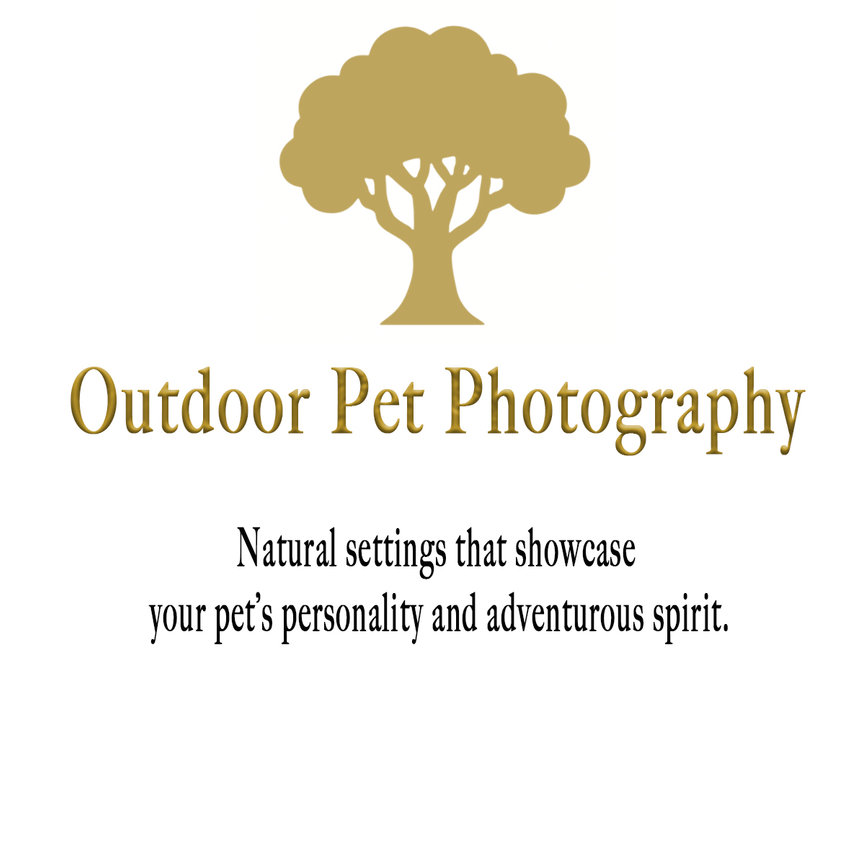 Outdoor Pet Photography in and around Fort Worth.