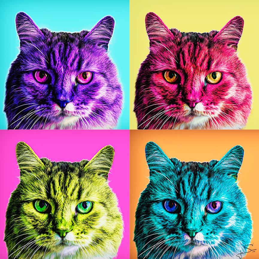 Bright and colorful four images of a cat wall art piece.