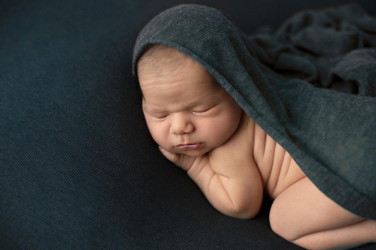 Portrait of a chubby little newborn boy with back rolls, draped with a soft navy blue wrap.