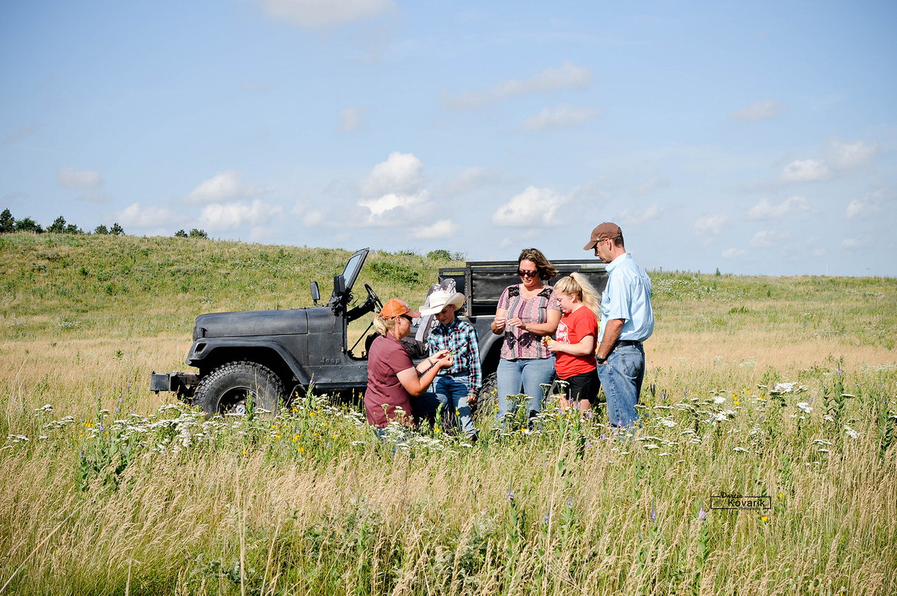 Group of six people learning about Sandhills flora while taking a jeep tour of the Nebraska Sandhills.