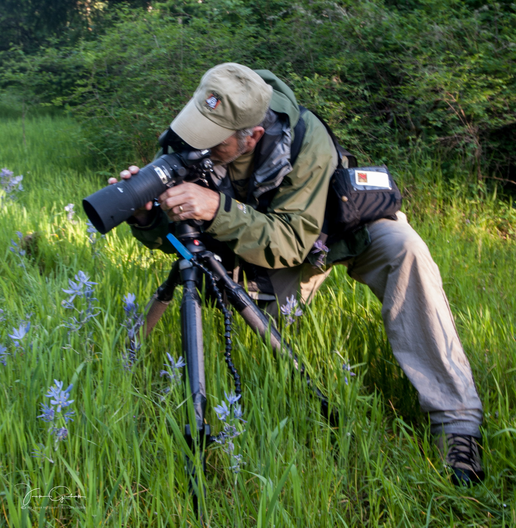 Learn About Mirrorless Cameras Mike Moats Award Winning Macro