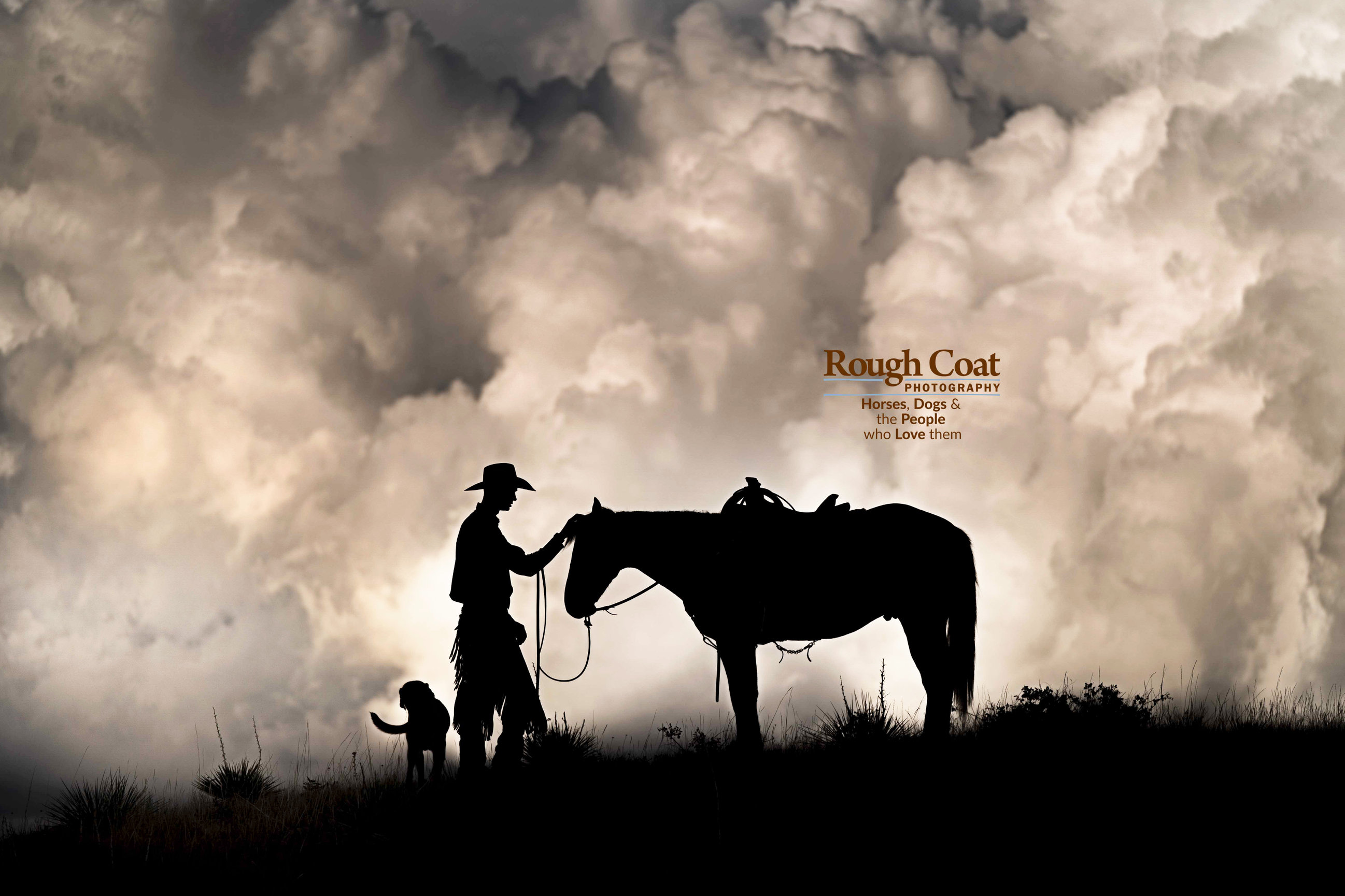 An Equine Photography in WYOMING A Photo Essay Rough Coat