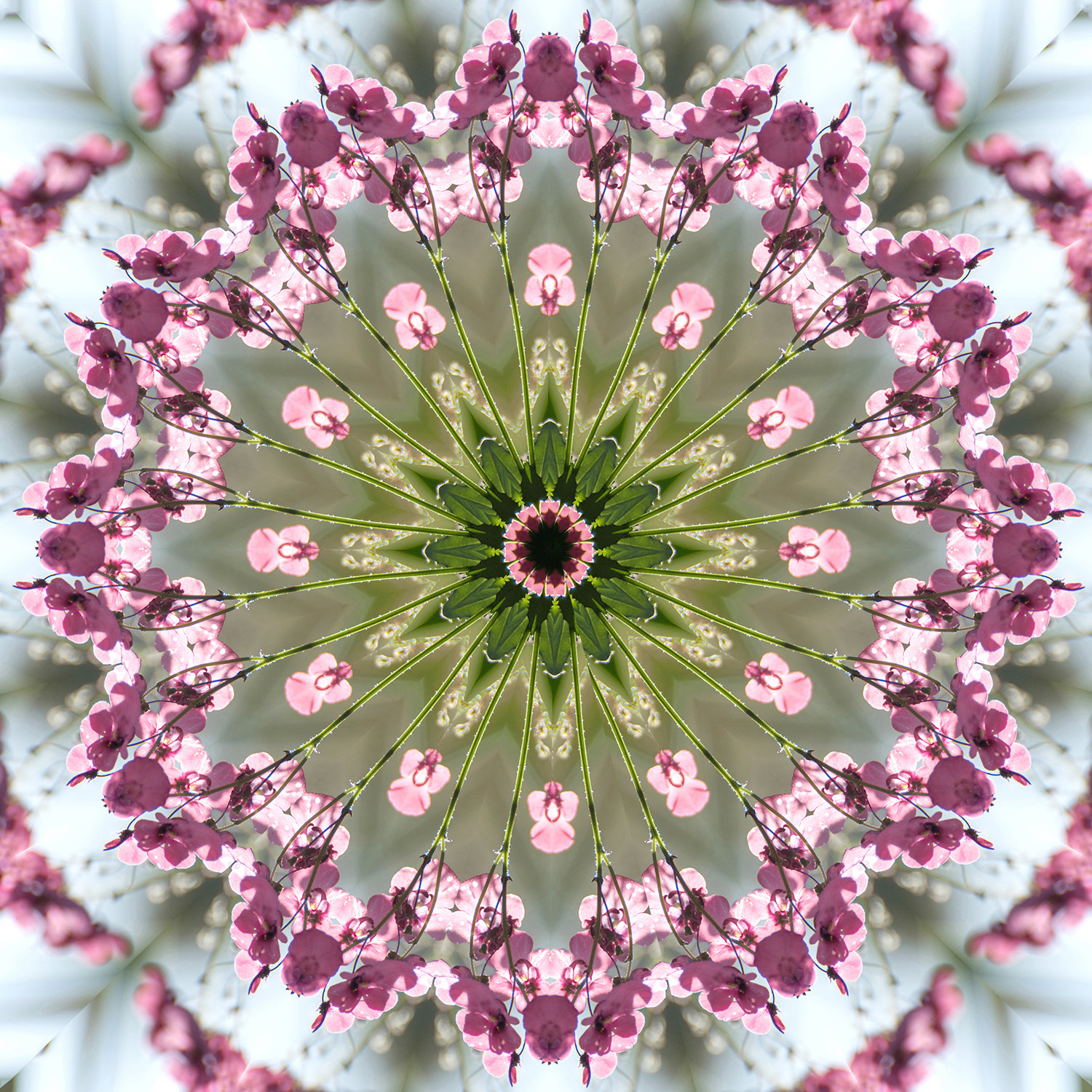 FLORAL ART | KALEIDOSCOPES | Susan Phelps Photography | WOKINGHAM