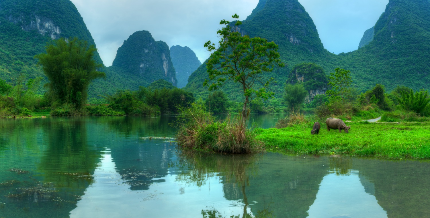 Peace of Land - Kandy Gallery