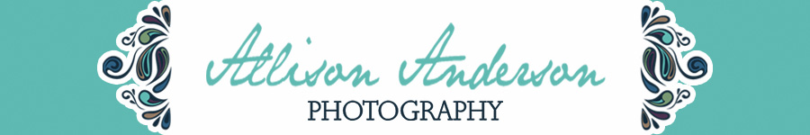 Allison Anderson Photography Logo